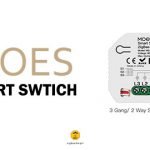 Moes Smart Switch