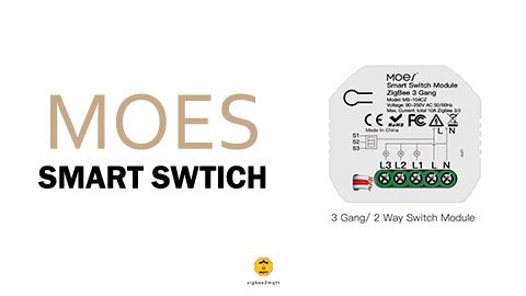 Moes Smart Switch