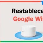 restablecer google wifi