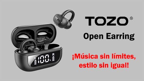 Tozo Open Earring