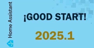 2025.1 HOME ASSISTANT
